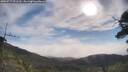 ./images/calvert/fitz-hugh-hecate/20250717/fitz-hugh-hecate20250717_091510M.jpg