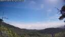 ./images/calvert/fitz-hugh-hecate/20250717/fitz-hugh-hecate20250717_104510M.jpg