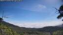 ./images/calvert/fitz-hugh-hecate/20250717/fitz-hugh-hecate20250717_105510M.jpg