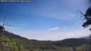 ./images/calvert/fitz-hugh-hecate/20250717/fitz-hugh-hecate20250717_110510M.jpg