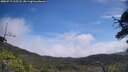 ./images/calvert/fitz-hugh-hecate/20250717/fitz-hugh-hecate20250717_115508M.jpg