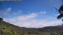 ./images/calvert/fitz-hugh-hecate/20250717/fitz-hugh-hecate20250717_123009M.jpg