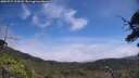 ./images/calvert/fitz-hugh-hecate/20250717/fitz-hugh-hecate20250717_124509M.jpg