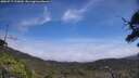./images/calvert/fitz-hugh-hecate/20250717/fitz-hugh-hecate20250717_125010M.jpg