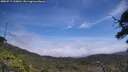 ./images/calvert/fitz-hugh-hecate/20250717/fitz-hugh-hecate20250717_130011M.jpg