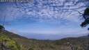 ./images/calvert/fitz-hugh-hecate/20250717/fitz-hugh-hecate20250717_134007M.jpg
