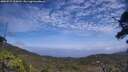 ./images/calvert/fitz-hugh-hecate/20250717/fitz-hugh-hecate20250717_134511M.jpg