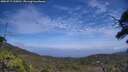 ./images/calvert/fitz-hugh-hecate/20250717/fitz-hugh-hecate20250717_135010M.jpg