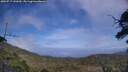 ./images/calvert/fitz-hugh-hecate/20250717/fitz-hugh-hecate20250717_141010M.jpg