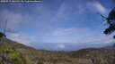 ./images/calvert/fitz-hugh-hecate/20250717/fitz-hugh-hecate20250717_141510M.jpg