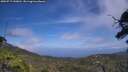 ./images/calvert/fitz-hugh-hecate/20250717/fitz-hugh-hecate20250717_143010M.jpg
