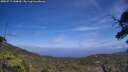 ./images/calvert/fitz-hugh-hecate/20250717/fitz-hugh-hecate20250717_144010M.jpg