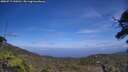 ./images/calvert/fitz-hugh-hecate/20250717/fitz-hugh-hecate20250717_144510M.jpg