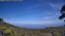 ./images/calvert/fitz-hugh-hecate/20250717/fitz-hugh-hecate20250717_145509M.jpg