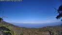 ./images/calvert/fitz-hugh-hecate/20250717/fitz-hugh-hecate20250717_154510M.jpg