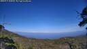 ./images/calvert/fitz-hugh-hecate/20250717/fitz-hugh-hecate20250717_155010M.jpg