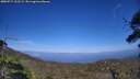 ./images/calvert/fitz-hugh-hecate/20250717/fitz-hugh-hecate20250717_162508M.jpg