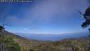 ./images/calvert/fitz-hugh-hecate/20250717/fitz-hugh-hecate20250717_163509M.jpg