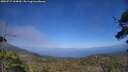 ./images/calvert/fitz-hugh-hecate/20250717/fitz-hugh-hecate20250717_164010M.jpg