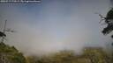 ./images/calvert/fitz-hugh-hecate/20250717/fitz-hugh-hecate20250717_170509M.jpg