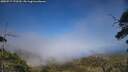 ./images/calvert/fitz-hugh-hecate/20250717/fitz-hugh-hecate20250717_172510M.jpg