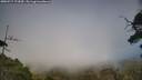 ./images/calvert/fitz-hugh-hecate/20250717/fitz-hugh-hecate20250717_173010M.jpg