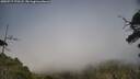 ./images/calvert/fitz-hugh-hecate/20250717/fitz-hugh-hecate20250717_173508M.jpg