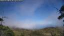 ./images/calvert/fitz-hugh-hecate/20250717/fitz-hugh-hecate20250717_174010M.jpg