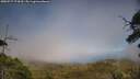 ./images/calvert/fitz-hugh-hecate/20250717/fitz-hugh-hecate20250717_174510M.jpg