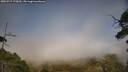 ./images/calvert/fitz-hugh-hecate/20250717/fitz-hugh-hecate20250717_175010M.jpg