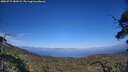 ./images/calvert/fitz-hugh-hecate/20250717/fitz-hugh-hecate20250717_181008M.jpg
