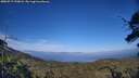 ./images/calvert/fitz-hugh-hecate/20250717/fitz-hugh-hecate20250717_190008M.jpg