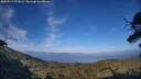 ./images/calvert/fitz-hugh-hecate/20250717/fitz-hugh-hecate20250717_193505M.jpg