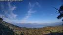 ./images/calvert/fitz-hugh-hecate/20250717/fitz-hugh-hecate20250717_194009M.jpg
