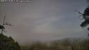 ./images/calvert/fitz-hugh-hecate/20250717/fitz-hugh-hecate20250717_203008M.jpg