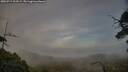 ./images/calvert/fitz-hugh-hecate/20250717/fitz-hugh-hecate20250717_203508M.jpg