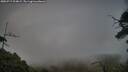 ./images/calvert/fitz-hugh-hecate/20250717/fitz-hugh-hecate20250717_204008M.jpg