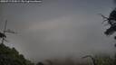 ./images/calvert/fitz-hugh-hecate/20250717/fitz-hugh-hecate20250717_205009M.jpg