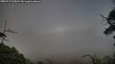 ./images/calvert/fitz-hugh-hecate/20250717/fitz-hugh-hecate20250717_210008M.jpg
