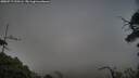 ./images/calvert/fitz-hugh-hecate/20250717/fitz-hugh-hecate20250717_210506M.jpg