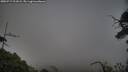 ./images/calvert/fitz-hugh-hecate/20250717/fitz-hugh-hecate20250717_211009M.jpg