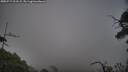 ./images/calvert/fitz-hugh-hecate/20250717/fitz-hugh-hecate20250717_211509M.jpg