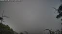 ./images/calvert/fitz-hugh-hecate/20250717/fitz-hugh-hecate20250717_212004M.jpg