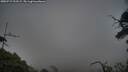 ./images/calvert/fitz-hugh-hecate/20250717/fitz-hugh-hecate20250717_212508M.jpg