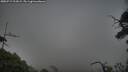 ./images/calvert/fitz-hugh-hecate/20250717/fitz-hugh-hecate20250717_213009M.jpg