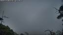 ./images/calvert/fitz-hugh-hecate/20250717/fitz-hugh-hecate20250717_214008M.jpg