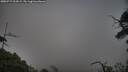 ./images/calvert/fitz-hugh-hecate/20250717/fitz-hugh-hecate20250717_214508M.jpg