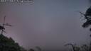 ./images/calvert/fitz-hugh-hecate/20250717/fitz-hugh-hecate20250717_220009M.jpg