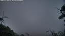 ./images/calvert/fitz-hugh-hecate/20250717/fitz-hugh-hecate20250717_220507M.jpg