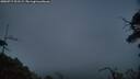 ./images/calvert/fitz-hugh-hecate/20250717/fitz-hugh-hecate20250717_221508M.jpg